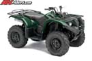 grizzly-450-eps-3-4-green