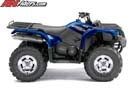 grizzly-450-eps-side-blue