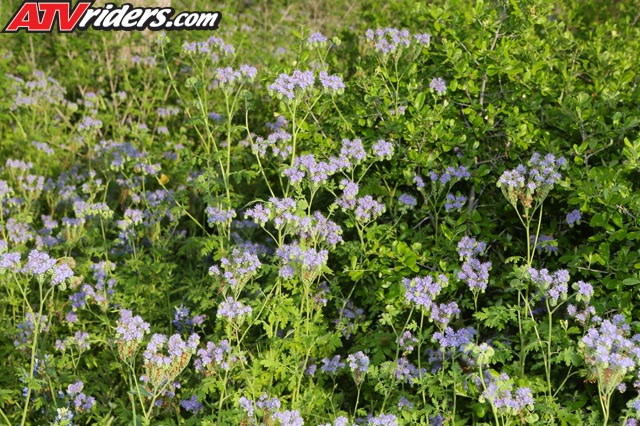 Canon-of-the-eagles-0794