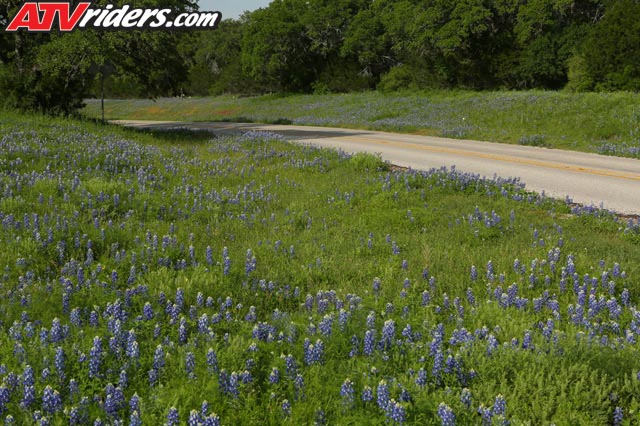 Canon-of-the-eagles-1214