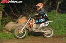 BC1_1441