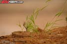gham-needt-atv-misc_GJH6510