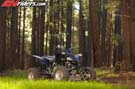 12SPATV_YFZ450_BK_A1_025