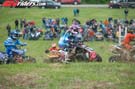 APL_3024