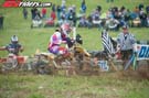 APL_3038