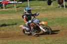 maxc-2014-01-peewee-2-109
