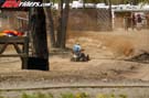 neatv-mx-02-pro-am-1-0242