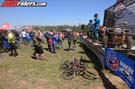 BPP_5653