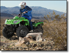 Arctic Cat  366  Utility ATV