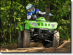 Arctic Cat  366  Utility ATV