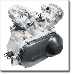 Thunder Cat 1000 ATV Engine