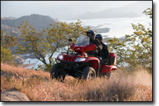Arctic Cat TRV 550 H1 Two-Up ATV