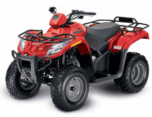 Arctic Cat 300 4x2 rear end