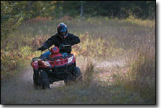 Arctic Cat 300 Utility ATV