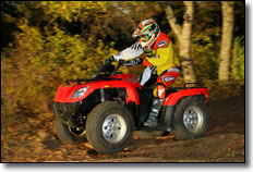 2011 Arctic Cat 425 4x4 Utility ATV Seat