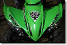 2011 Arctic Cat 425 4x4 Rear Rack