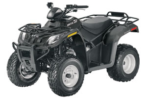 2013 Arctic Cat 300 Utility ATV  