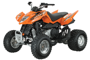 2013 Arctic Cat DVX 300 Sport ATV