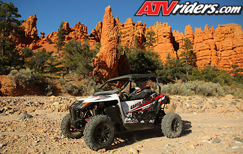 Arctic Cat Wildcat Casto Canyon