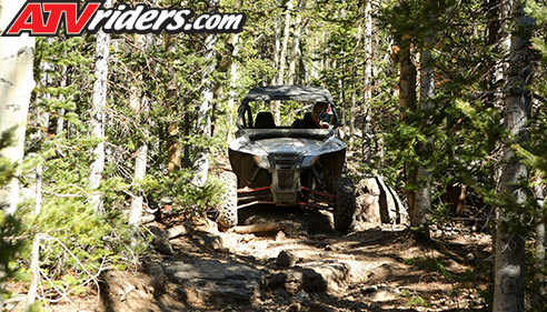 Arctic Cat Wildcat