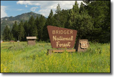 Jackson Hole Adventure ATV Rentals