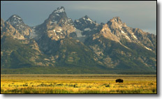 Jackson Hole, Wyoming - Grand Tetons