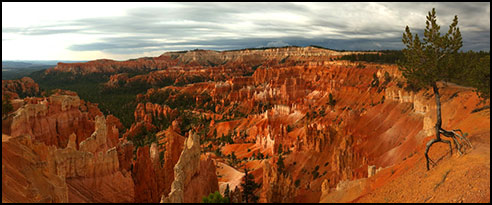 Bryce Canyon Nathonal Park