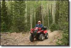 Suzuki KingQuad Utility ATV