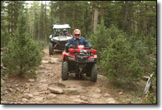 Suzuki KingQuad Utility ATV