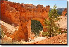 Bryce Canyon National Park - Natural Bridge