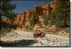 Casto Canyon ATV Trails