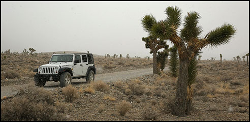 Farabee's Jeep Rentals - Death Valley