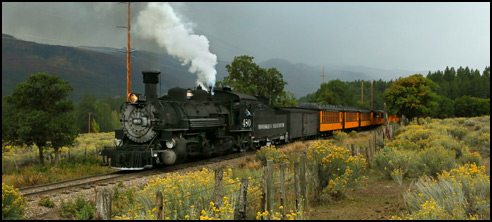 Durango Silverton Railroad Train Engine 480
