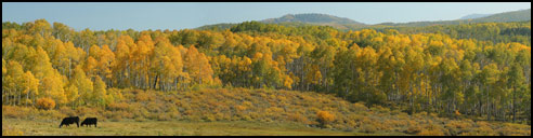 Rocky Mountain Jamboree ATV & SxS Trail Rid