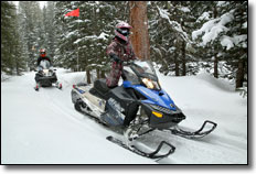 San Juan Backcountry Woods