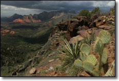 Sedona, Arizona ATV & SxS Desert Riding Adventure 