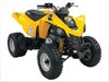 2007 Can-Am DS 250 Sport ATV Info