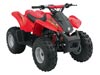 Can Am DS 90 Mini ATV