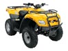 2007 Can-Am Rally Utility ATV