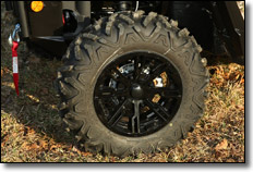 Maxxis Bighorn 2.0 Tires
