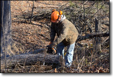 Chainsaw Buyers Guide