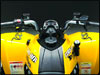 Can-Am DS 250 Youth Sport ATV Handlebars
