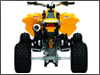 Can-Am DS 450 EFI Sport ATV Rear
