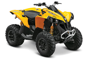 Can-Am Renegade 800R EFI 4x4 ATV