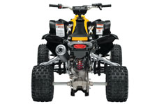 Can-Am DS 450 X MX