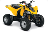 2014 Can-Am DS 250 