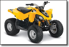 2014 Can-Am DS 90


