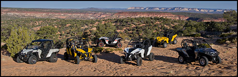 CanAm Maverick & Commder SxS / UTV Family