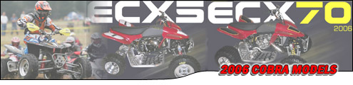 Cobra ATV Manufacturer 2006 Model Header