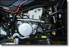 2009 Gas Gas Wild 450 Exhaust